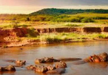 Naivasha